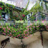 Horticultural Grade Diatomaceous Earth Potting Soil and Hydroponic Growing Medium thumbnail-4