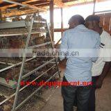 Dingtuo Chicken Cage Transaction Record thumbnail-1