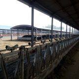 Dairy Cowhouse Hanging Cow Fan thumbnail-3