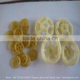 Single Screw 3D Pellets Golgappa Fryum Snack Processing Machine thumbnail-1