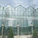 Venlo Type Glass Panels Agricultural Multi-Span Greenhouse With Sun Shade &Control System thumbnail-2