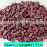 Pet Care Dog Food Puppy Formula thumbnail-3