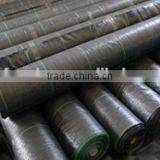 High Quality Black Plastic Ground Cover Roll thumbnail-5