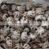 Frozen IQF Baby Octopus Flower thumbnail-1