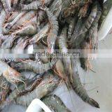 Frozen Simple Shrimp Recipes thumbnail-1