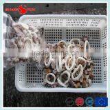 Seafood Cocktail IQF thumbnail-4