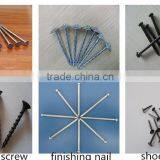 Iron Nail/ Common Wire Nail/Common Iron Nails thumbnail-5