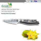 3 Inch Japanese VG10 Damascus Steel Paring Knife thumbnail-2