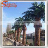 2015 Wholesale Artificial Outdoor Palm Trees Plastic Decorative Metal Palm Tree Palm Trees thumbnail-5