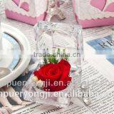 Utility Long Lasting Preserved Flower For Wedding And Valentine's Day Gift thumbnail-1