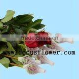 Wholesale Love Roses Flowers Fresh Flowers Black Magic Rose With 20stems/bundle From Yunnan Aibaba Com thumbnail-5