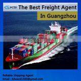 Container Consolidation Shipping Agent to Rotterdam thumbnail-1