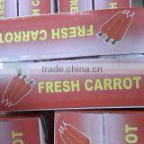 Wholesale Chinese Fresh Carrots With High Quality and Good Price thumbnail-3
