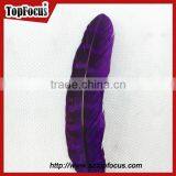 Natural Ringneck Rounds Cheap Dyed Pheasant Feathers Sale thumbnail-5