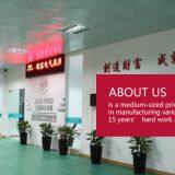 Taizhou Xinrong Electric Co.,ltd. company overview - view 1 thumbnail