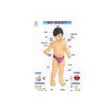 Bangladesh Early Educational Poster thumbnail-1