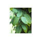 TOP Quality Piperine50%--98% thumbnail-1