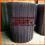 Food Chain Conveyor Belt, Shandong Manufacturers thumbnail-2