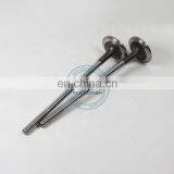 Truck Engine Parts Intake Valve D5010359502 5010359502 For DCi11 Engine