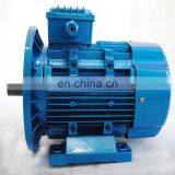 Chinese Manufacturer Induction Motor 90kw thumbnail-5