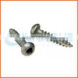 China Supplier Galvanized Anti-theft Screw