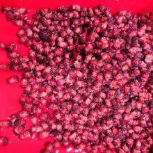 High Efficiency Automatic Fruit Pitting Machine Cherry Pitter Olive Pitter Machine for Fruit Processing Plants thumbnail-2