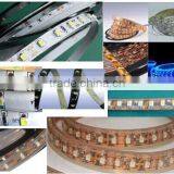 Smd Flexible Led Light Strip Decoration to Festival Park Tree Garden Constrictions Led Light Strip thumbnail-5