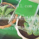 Garden Greenhouse,mini Flower House thumbnail-4