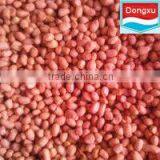 High Quality Red Skin Peanut Kernel
