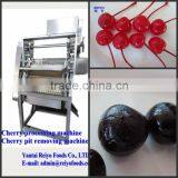 Stem Removing Machine / Stem Removers for Fruits Cherry thumbnail-4