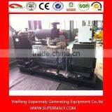 CE Approved Biogas Generator Set With Devulcanizer and Gas-water Separator