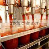 Tomato Ketchup Filling Machine