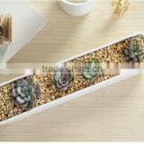 2016 Hot-sell Wholesale Price Artificial Tropical Mini Succulent Plant Pot Porcelain Flower Pot in Garden thumbnail-4