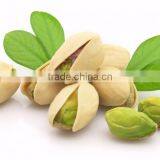 Cashew Nuts,Pistachio Nuts,Walnuts, Almond Nuts Available for Sale thumbnail-5