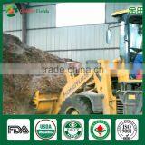 Wholesale China Supplier of Health Food Mushroom Edibal Fungus Fresh Dried Shiitake Mushroom for Garden Farm Restaurant thumbnail-4