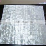 Silver capiz shell mosaic tile shell sheet mother of pearl