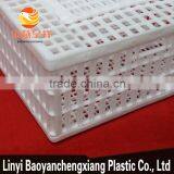 New Product Plastic Sales Small Chicken Coop Professional Designs thumbnail-6