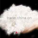 EN12934 80% Hot Selling Goose Down and Feather for Jackets thumbnail-2