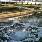 BWT fish pool aerator