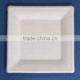 T0286A 6 inches disposable flate square sugar cane paper plate                        
                                                Quality Choice