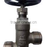 Steam Globe Valve