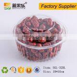 High Quality PET Disposable Plastic Cake Container Box thumbnail-2