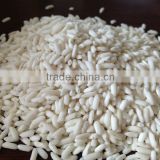 Vietnam glutinous rice high quality big grain (sales@duongvuvn.com)