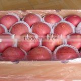 2015 Wholesale High Quality fresh red apple
