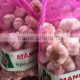 No Root/Clean Skin Wholesale Chinese Garlic thumbnail-5