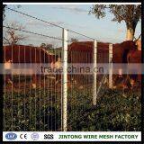 12x12 Barbed Wire Pvc pe Coated Barbed Wire Garden Border Fence Edging thumbnail-1