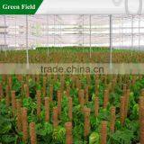 Agricultural Plant Stake,Plant Support thumbnail-1