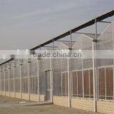PC Solid Sheet Roof Greenhouse High Quality thumbnail-1
