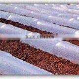 Agriculture Mulch Films ,perforated Clear Mulch Film (with 2 or 4 Holes) thumbnail-5