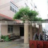SJ2000599 High Simulation Large Outdoor Tree Artificial Baobab Arvore thumbnail-3